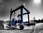 Crane_Blue