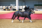SBM_18432