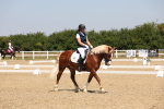 SBM_004319