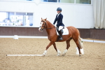 SBM_000669