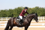 SBM_005654