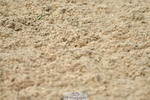 230513A-144426-01429