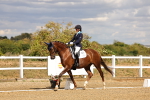 SBM_006495