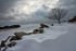 Snowdrift