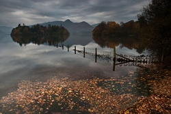 Leaves on Derwentwater