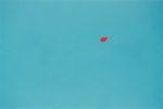 Leaf in Swimming Pool, Hydra, Greece