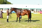 SBM_10798