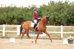 SBM_007656