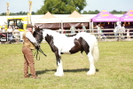 SBM_08638