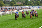 Race 6 16.45pm British Stallion Studs EBF Convivial Maiden Stakes portfolio
