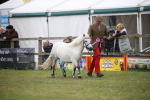 SBM_09752