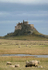 Lindisfarne  2