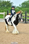 Seavington PC Showjumping Sunday 18th June = Click to View Photos portfolio