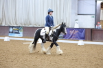 SBM_000209