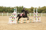 SBM_007201