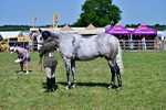 SBM_18225