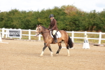 SBM_009403
