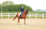 SBM_006258