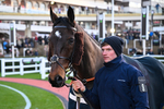 121225-Race 7-Spike Jones-7123