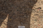 230906A-105522-00097