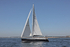 170526 SLOW GIN GBR2075L 1Y3A9543_Edit