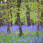 Cornwall - Towns and Countryside portfolio