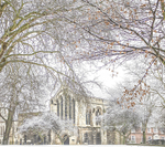 IMG_7674 ROBIN IN SNOWY DEANS PARK YORK MINSTER LIBRARY copy-2