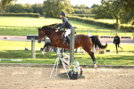 J10 - Junior Pony 75cm Championship portfolio
