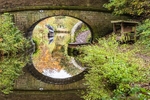 Bridge 29 (Clarke Lane), Macclesfield Canal (8)