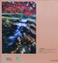 Winning image "Autumn leaves" at the IGPOTY Exhibition