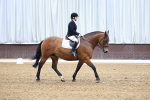 SBM_000481