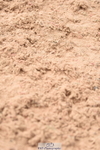 230902A-121816-00988