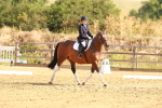 SBM_000343