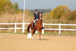 SBM_009336