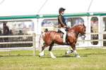 SBM_17683