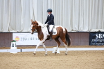 SBM_001519