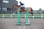 Cls 21 Foxhunter and 1.20m Open portfolio