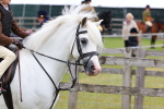 SBM_08421