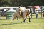 SBM_10219
