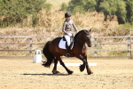 SBM_001491