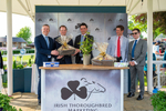 Race 7 5.20pm Irish Thoroughbred Marketing Handicap portfolio