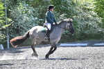 WJ7_9447