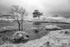 Kelly Hall Tarn 09