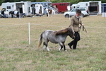 WJ6_5416