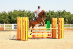 SBM_000697