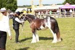 SBM_08599