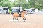 BPP_0210