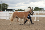 SBM_06942