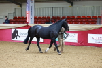 SBM_00535