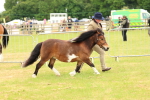 SBM_04417
